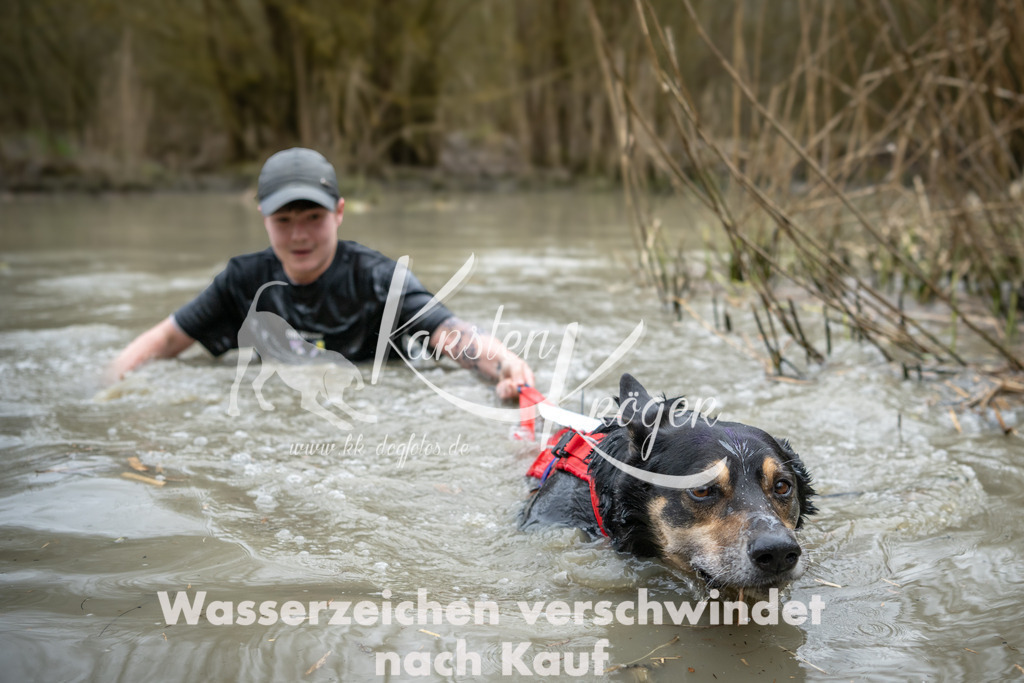 1527_ZZ93083 | kk-dogfotos