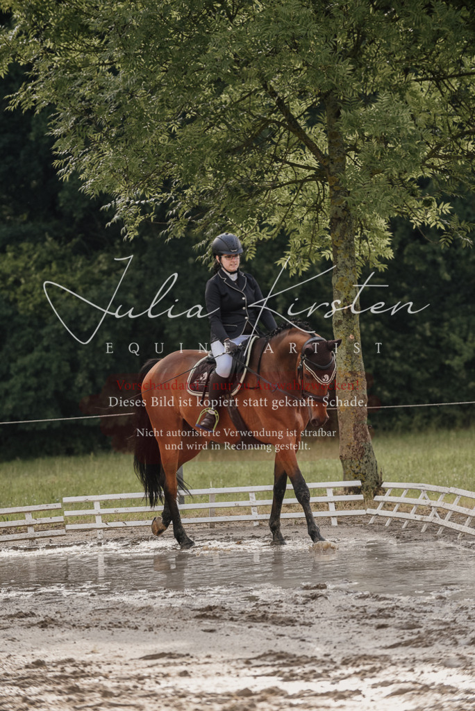 DSC_8432 | Pferde- und Turnierfotografie in Westsachsen. Pferdeportraits, Auftragszeichnungen und intuitive Kunst.