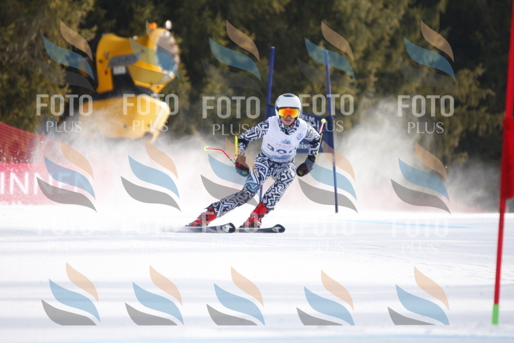 D8051 | holidayphoto