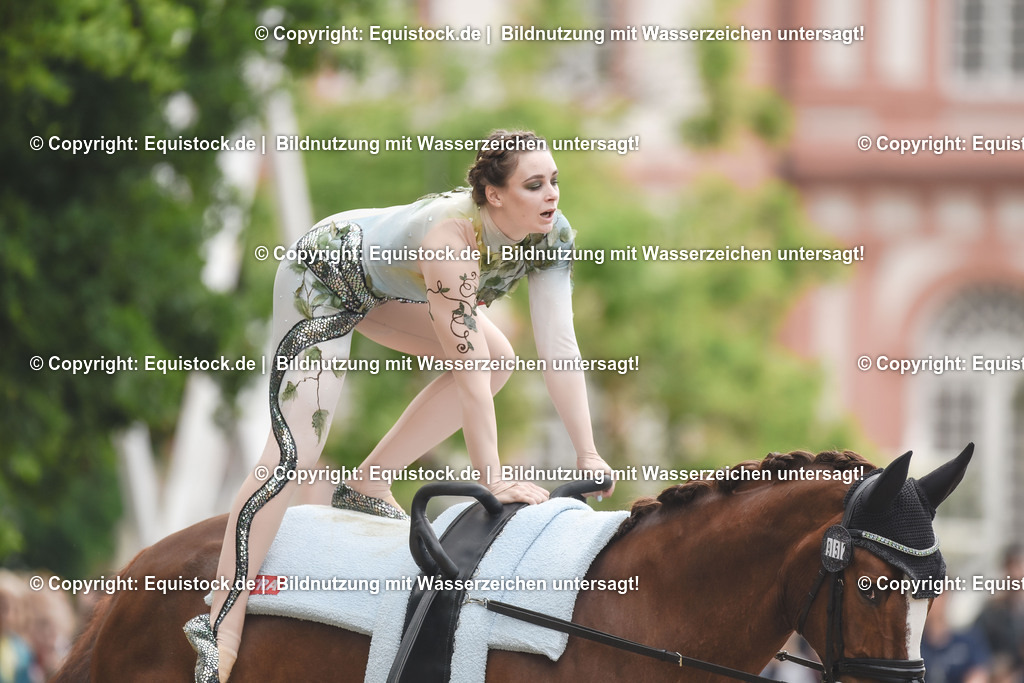 20240519_Voltige_0287 | Foto: Thomas Hartig