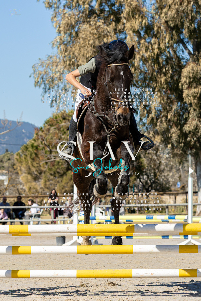 IMG_8986 | s-jay-photography - Realisiert mit Pictrs.com