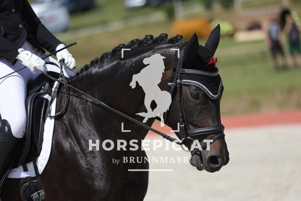 0P6A7335 | Willkommen bei Brunnmayr - Design & Fotografie – Ihrem Spezialisten für Reitturniere und Pferdeveranstaltungen in Oberösterreich, Salzburg und Bayern! Seit über 17 Jahren sind wir leidenschaftlich dabei.