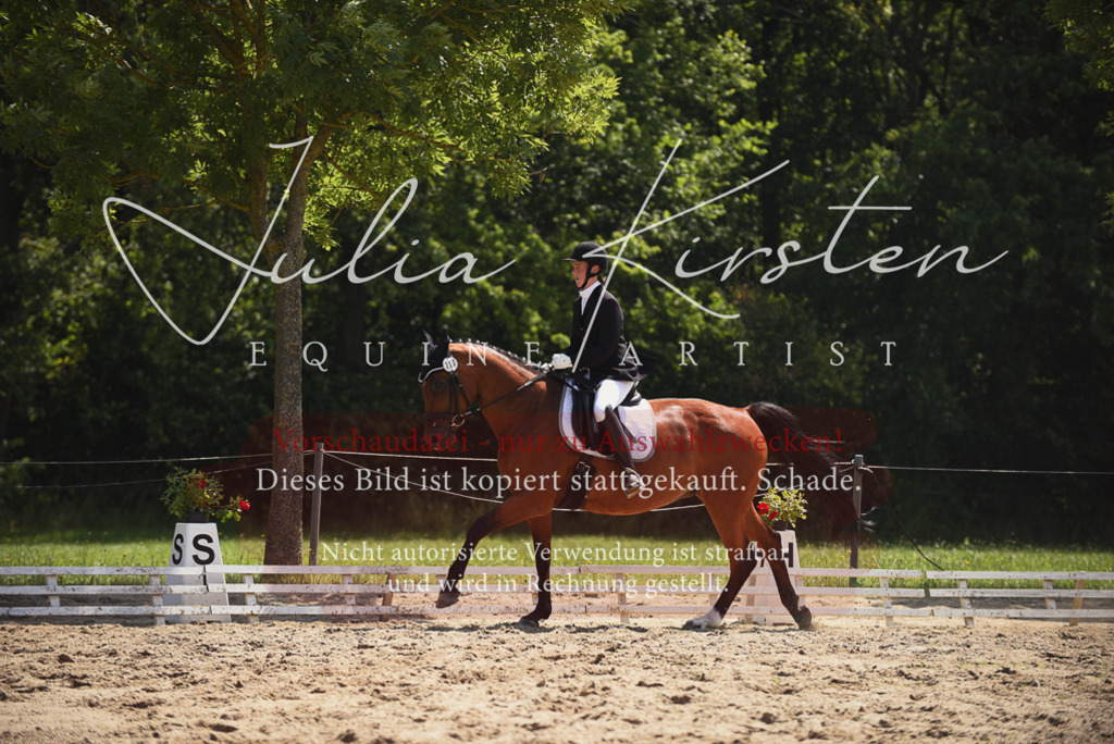 DSC_1049 | Pferde- und Turnierfotografie in Westsachsen. Pferdeportraits, Auftragszeichnungen und intuitive Kunst.