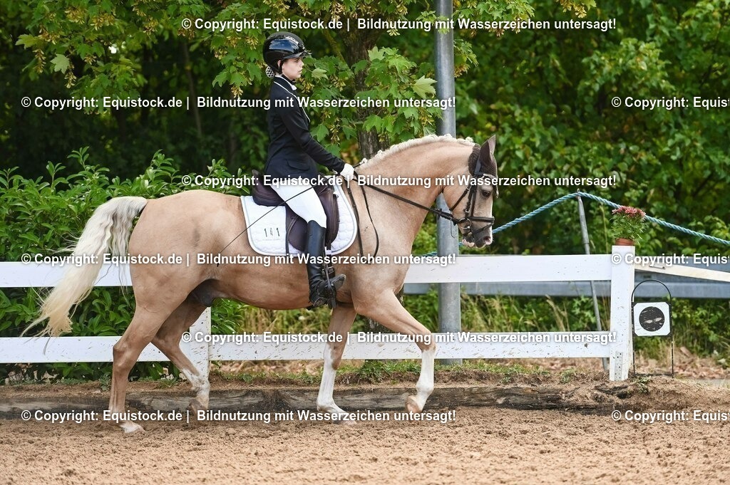 20230716_04_Dressurreiterprüfung Kl.A_0348 | equistock