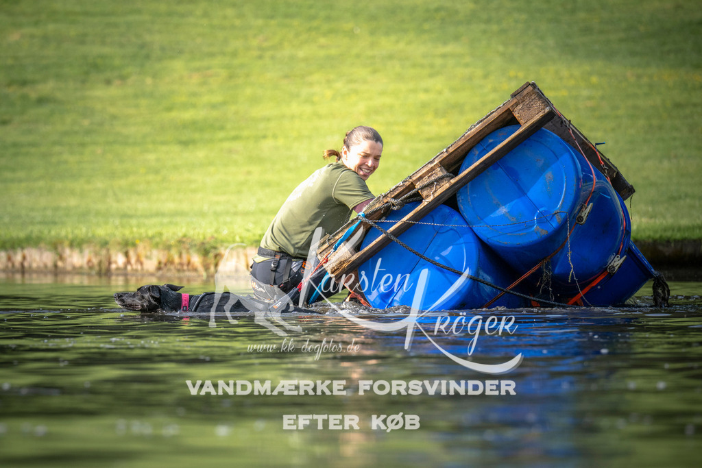_ZZ934870705 | kk-dogfotos