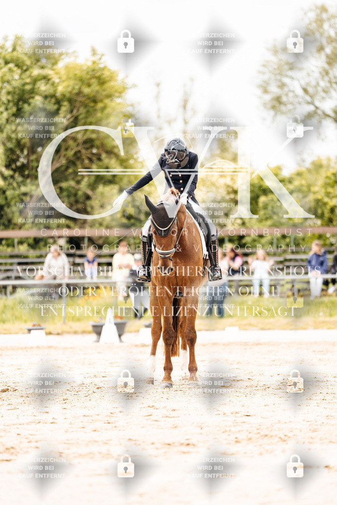 CK902898 | Turnierfotografie Pferdefotografie Trier Rheinland-Pfalz Pferdesport Reitsport Tierfotografie Sportfotografie Pferdevideo Pferdevideografie Equestrianvideography equestrianphotography  - Realisiert mit Pictrs.com