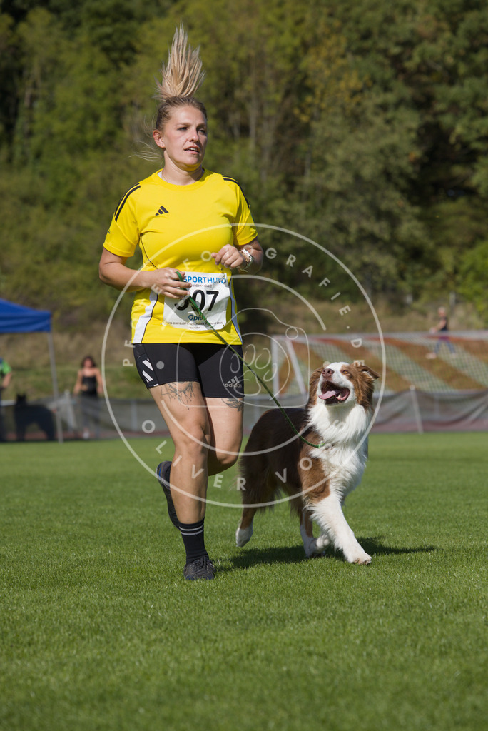 0L8A8203 | Hundefotografie, Tierfotograf, Pfotenfotografie, Fotoshooting Hund, Hunde Portrait, Hundesport, Hundeportraits, Heideshooting, Hunde, Sportfotograf, Hundefotograf, Turnierhundsport, THS,  - Realisiert mit Pictrs.com