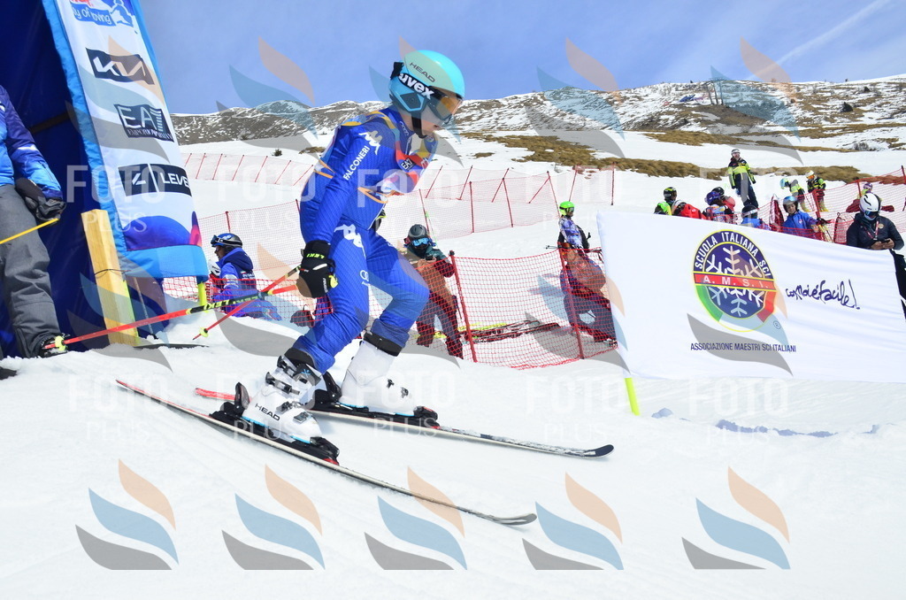 _ELE1770 | holidayphoto