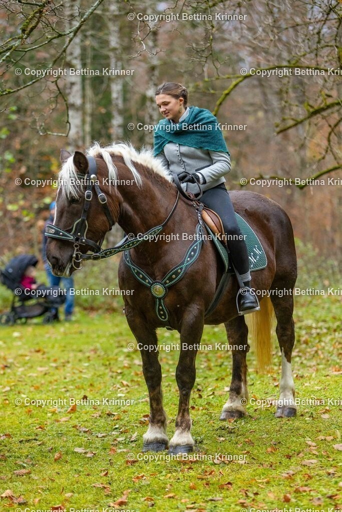 LL25-162 | foto-bettina-krinner - Realisiert mit Pictrs.com