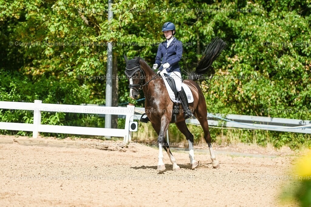 20230715_02_Dressurreiterprüfung Kl.L_0285 | equistock