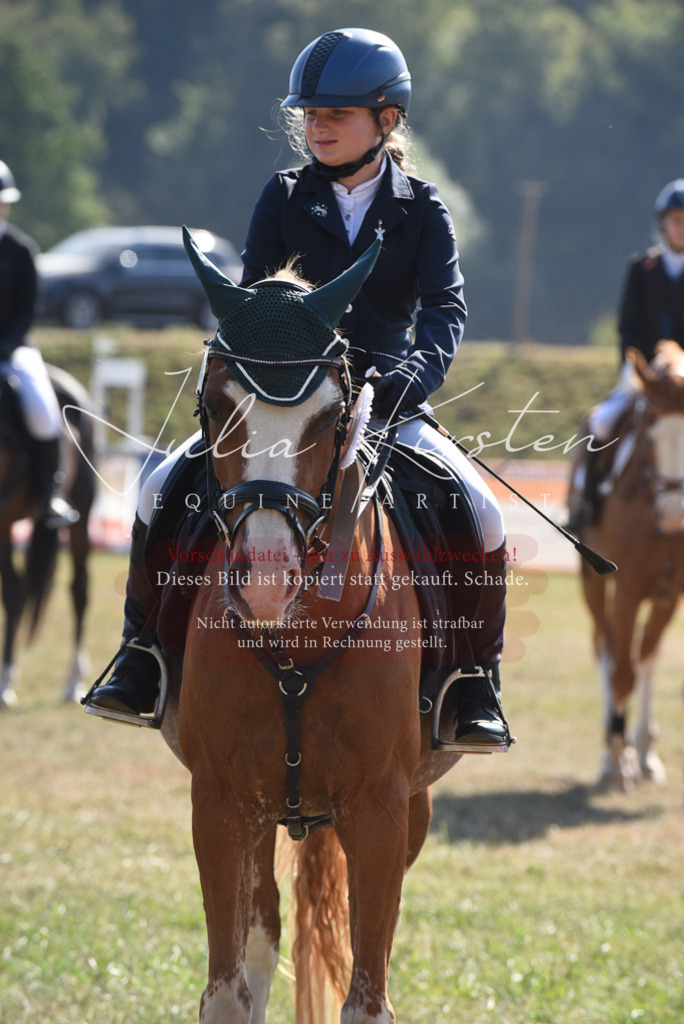 DSC_6162 | Pferde- und Turnierfotografie in Westsachsen. Pferdeportraits, Auftragszeichnungen und intuitive Kunst.