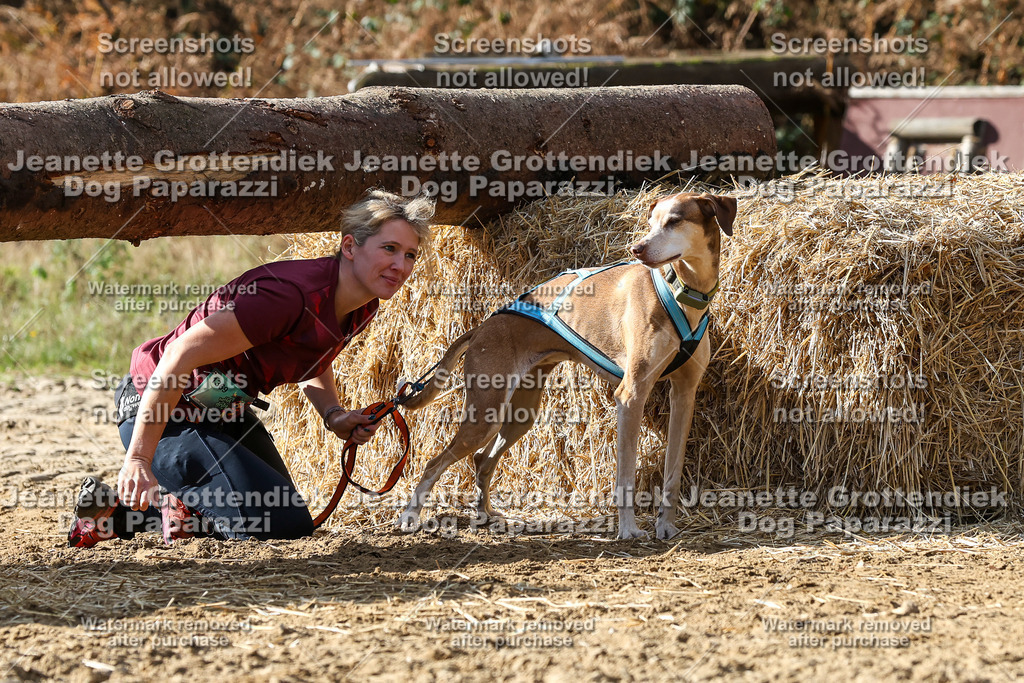 Dog Paparazzi - Strongdog 10-25-5493 | Dog Paparazzi Jeanette Grottendiek Fotografie & Videografie - Realisiert mit Pictrs.com