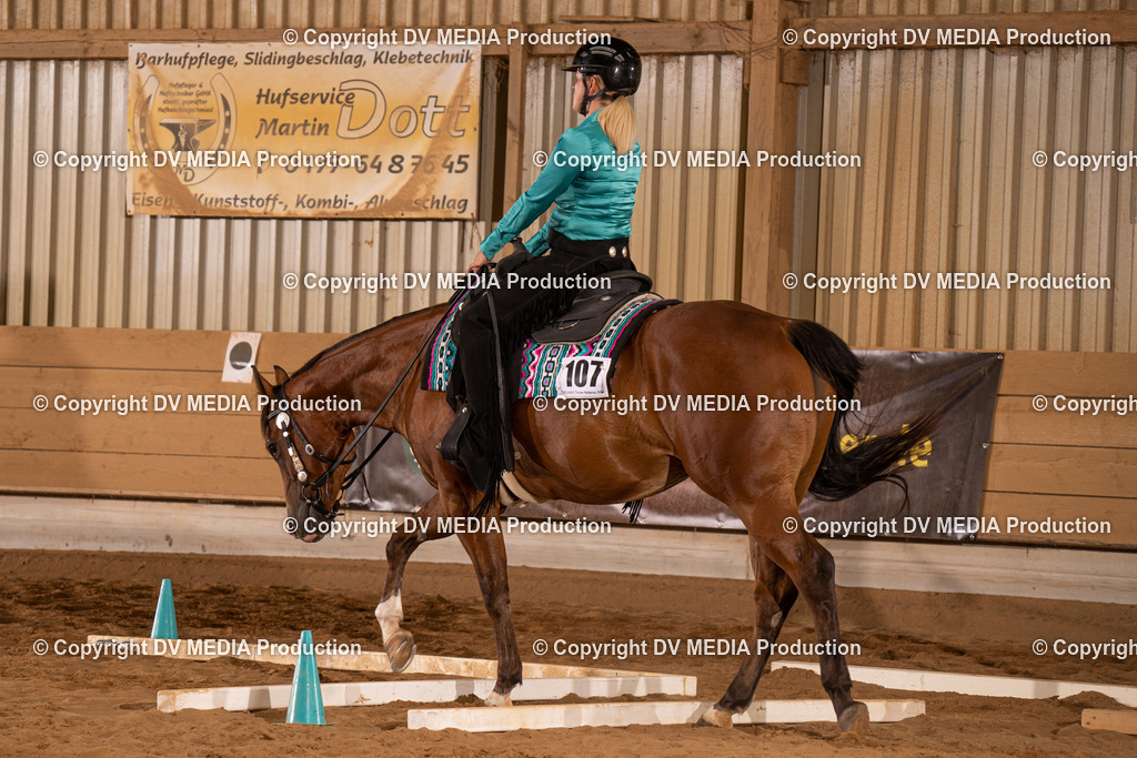 NID00765 | dv-media-shop - Realisiert mit Pictrs.com