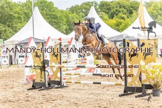 26-8-7 SPR A++-388 | mandyhollmannphotographie