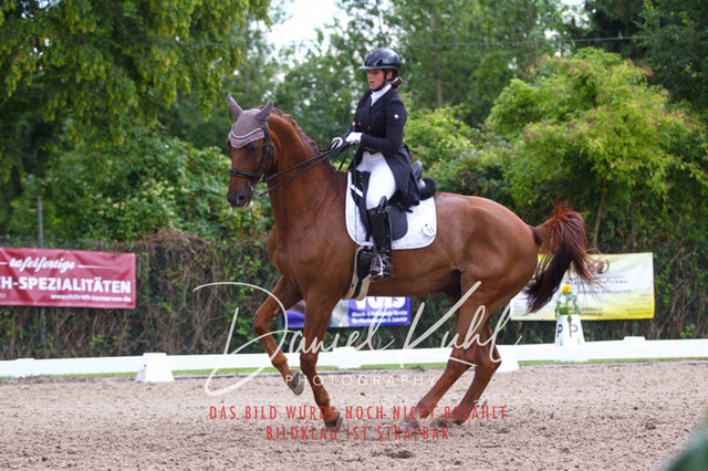 DKP41491 | Turniersportfotografie; Pferdefotografie; Dressurfotografie