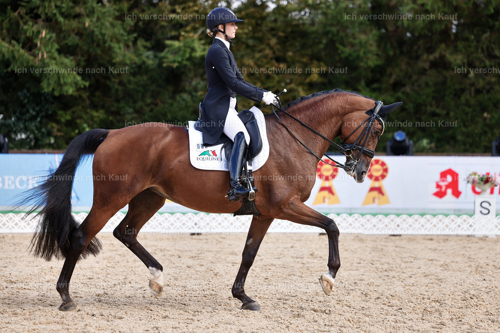 07-003-DRESSUR  S___  -StoibPH-5065 | working equitationturnier fotograf videograf stoibphotography marixx film working equitation deutschland reitsport turnierfotografie eventfotografie equestrian events