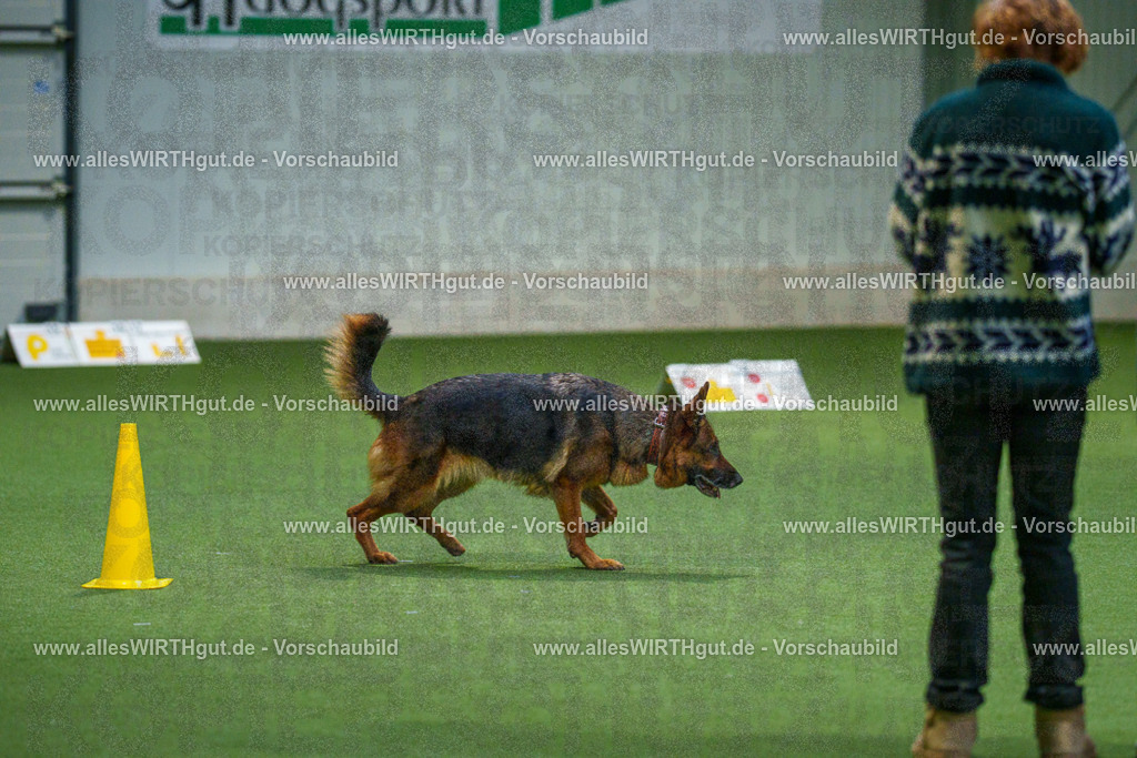 7R507973 | Professionelle Tierfotografie in Mönchengladbach von Daniel Wirth (allesWIRTHgut). Liebevolle & natürliche Bilder von Hunden & Katzen für unvergessliche Erinnerungen.