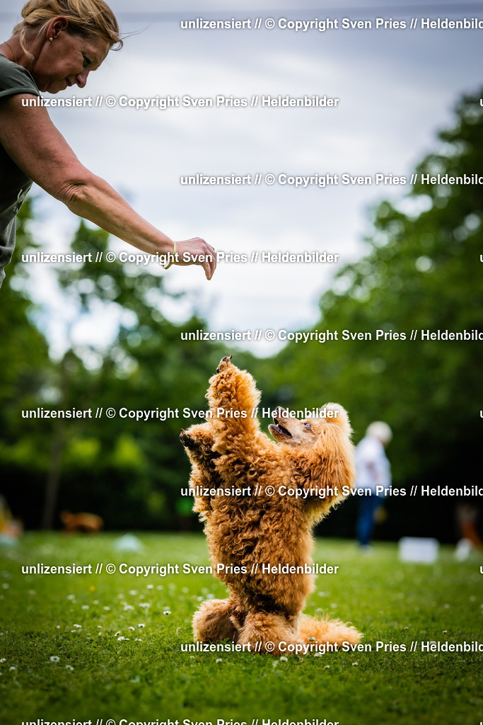 Sven Pries | 2025-05-29 - Pudelrennen KA-Durlach - Realisiert mit Pictrs.com