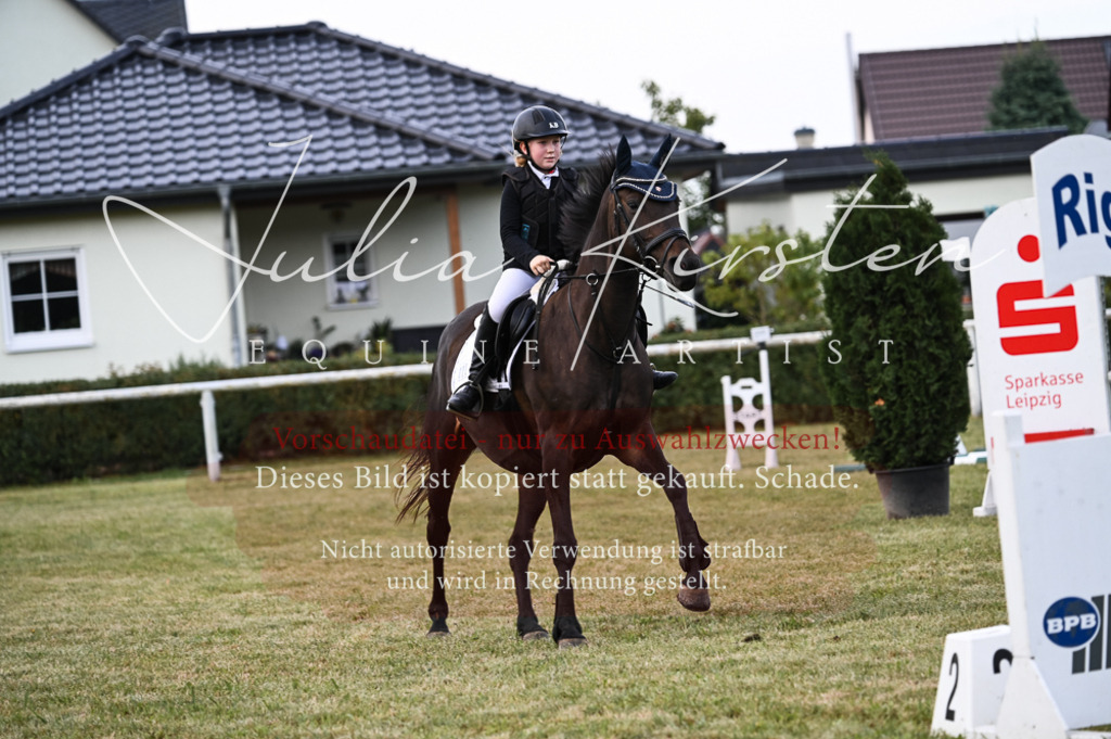 DSC_5573 | Pferde- und Turnierfotografie in Westsachsen. Pferdeportraits, Auftragszeichnungen und intuitive Kunst.