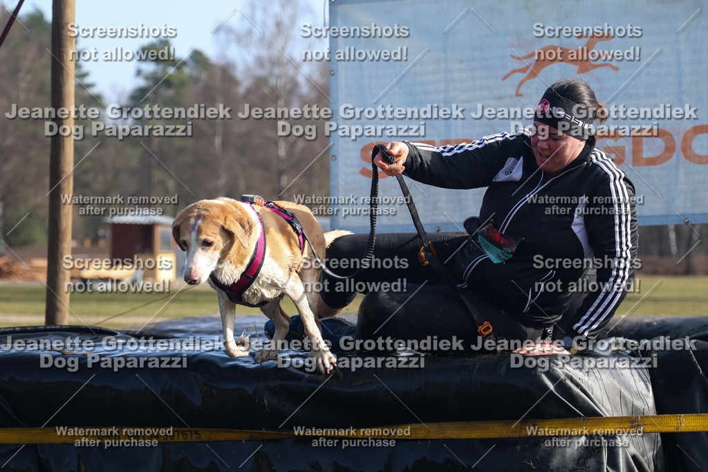 Dog Paparazzi - Strongdog North Mrz26-1263 | Dog Paparazzi Jeanette Grottendiek Fotografie & Videografie - Realisiert mit Pictrs.com
