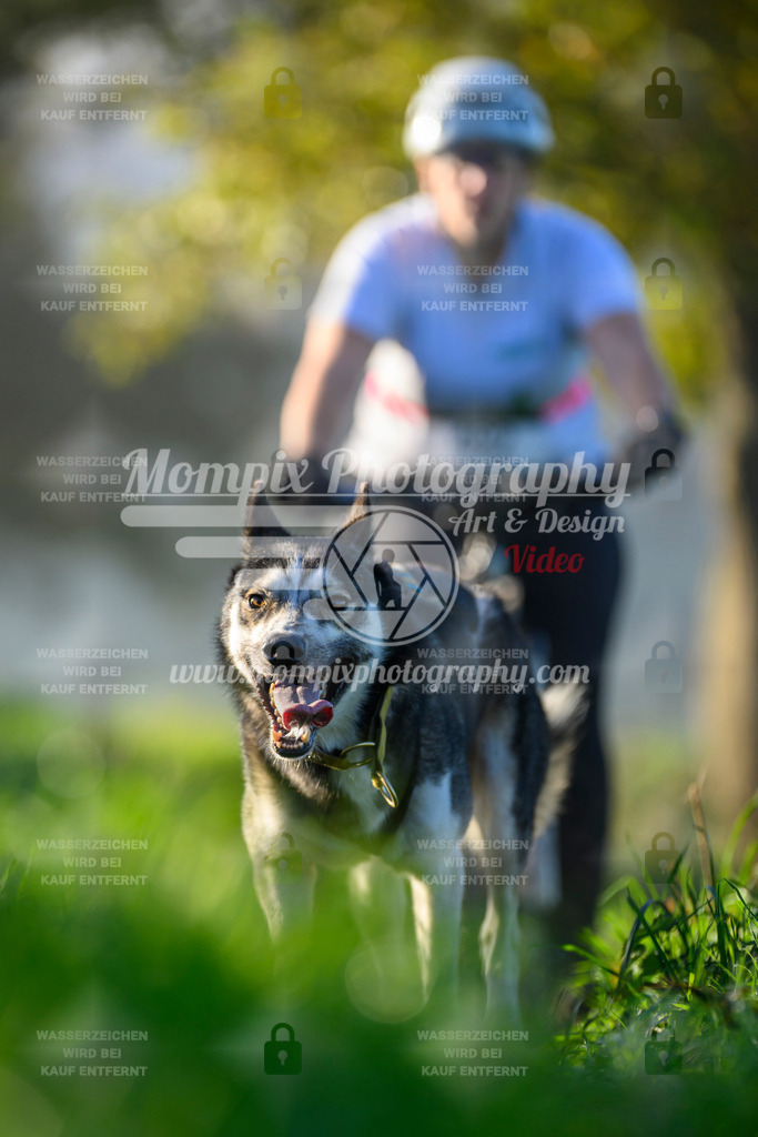 MompixPhotography_20TSB_E3_Bike-227 | PayLife