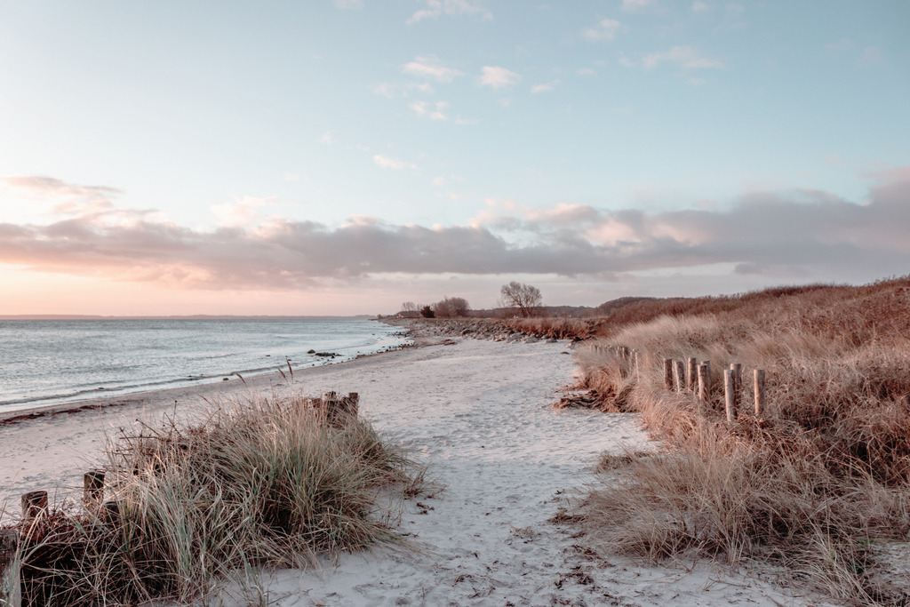 Wandbild: Morgenrot am Meer in dezenten Farben | Dieses Wandbild im Querformat zeigt einen Sandstrand im Morgenrot. Im Vordergrund befindet sich Strandhafer am Strand. Das pastellartige rot sorgt für eine wohnliche Stimmung. Ob für Ihre Ferienwohnung oder für Ihr Zuhause im Wohnzimmer, in der Küche und im Schlafzimmer dieses maritime Wandbild zaubert einen kleinen Urlaub an Ihre Wände. Dieses Wandbilder ist auf Leinwand, Aluminium-Platte, Acrylglas oder als Holzdruck erhältlich. Die Wandbilder werden individuell für Sie in vielen Abmessungen produziert. Daher passen die Ostseekult Wandbilder immer perfekt an Ihre Wände. - Realisiert mit Pictrs.com