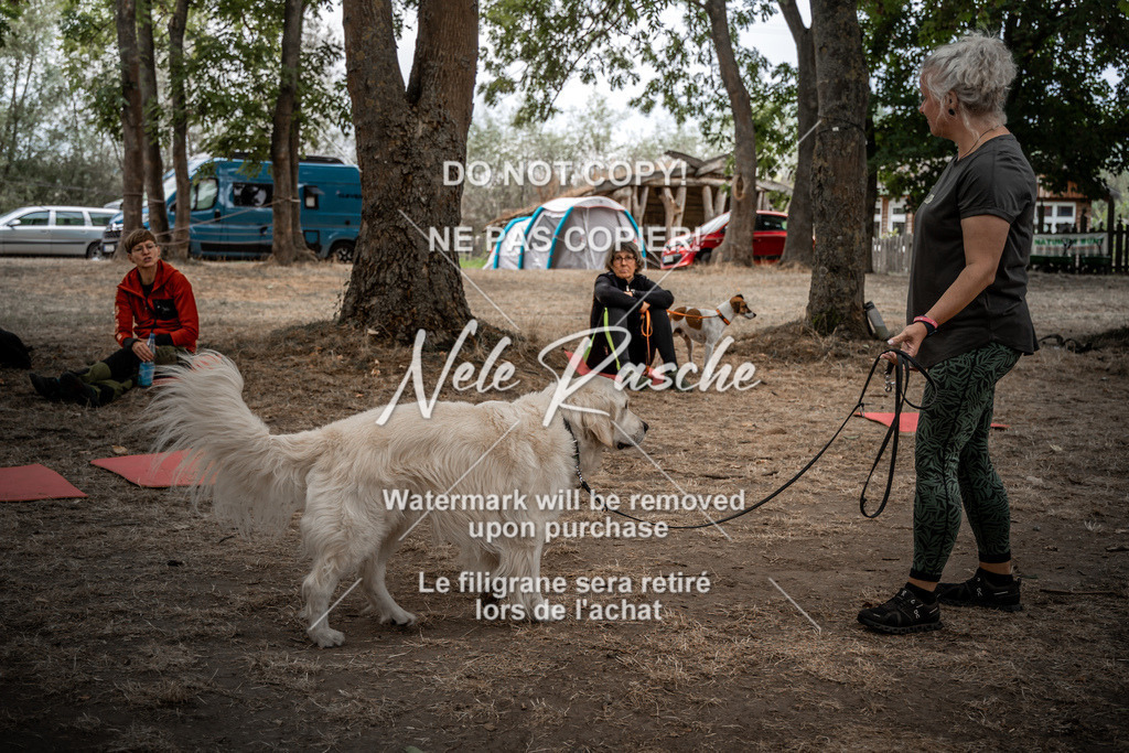 nelerasche_freitag2_055 | nelerasche