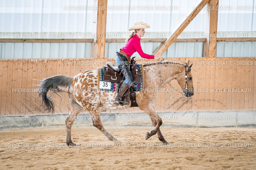 DSC07528 | Pferdegrafie