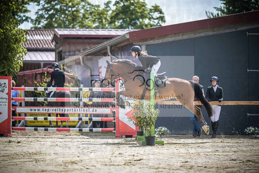 DOS_0257 | Entdecke hochwertige Reitturnierfotos von Foto Oger. Professionell, emotional und authentisch – jetzt Lieblingsmomente im Shop bestellen.Deutschlandweite Turnierfotografie. - Realisiert mit Pictrs.com