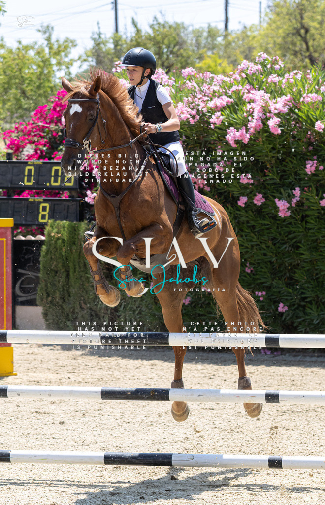 IMG_7748 | s-jay-photography - Realisiert mit Pictrs.com