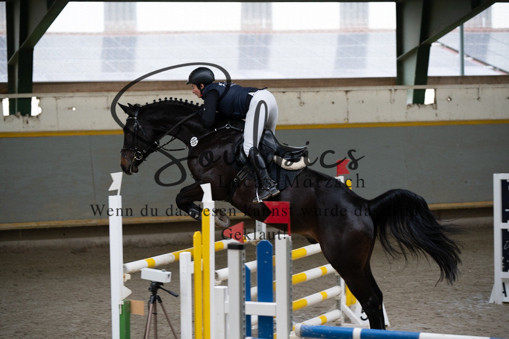 A7V01386 | Pferdefotograf