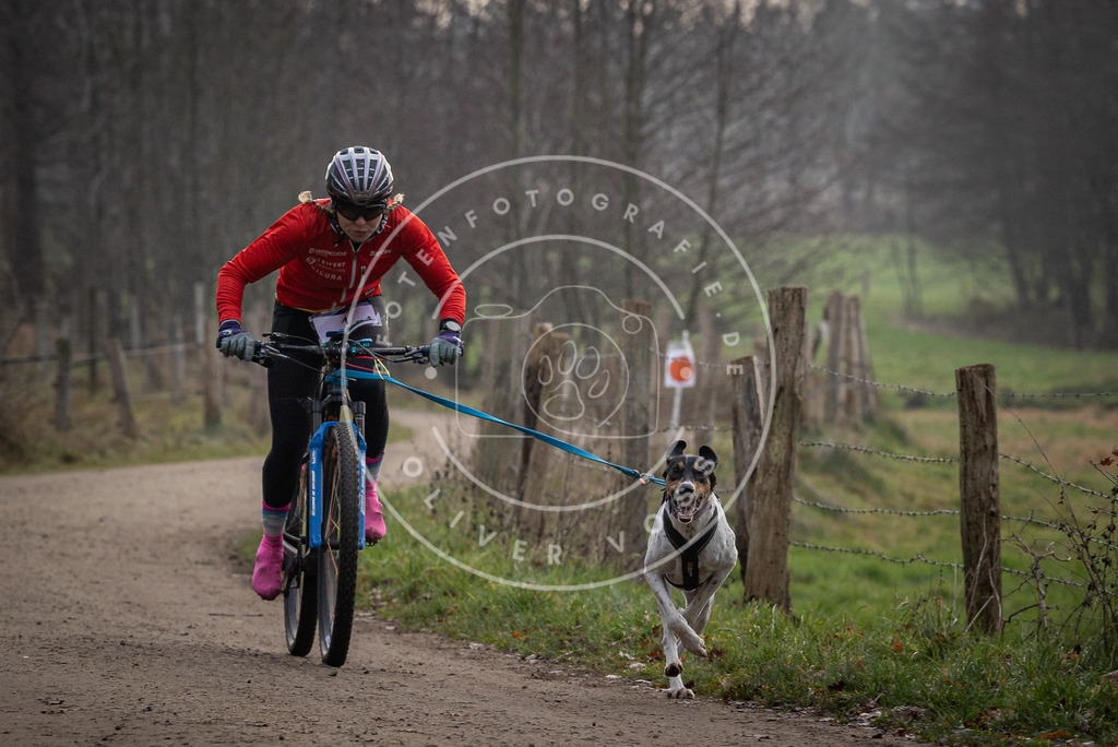 Pfotenfotografie_DV3A1465 | Hundefotografie, Tierfotograf, Pfotenfotografie, Fotoshooting Hund, Hunde Portrait, Hundesport, Hundeportraits, Heideshooting, Hunde, Sportfotograf, Hundefotograf, Turnierhundsport, THS,  - Realisiert mit Pictrs.com