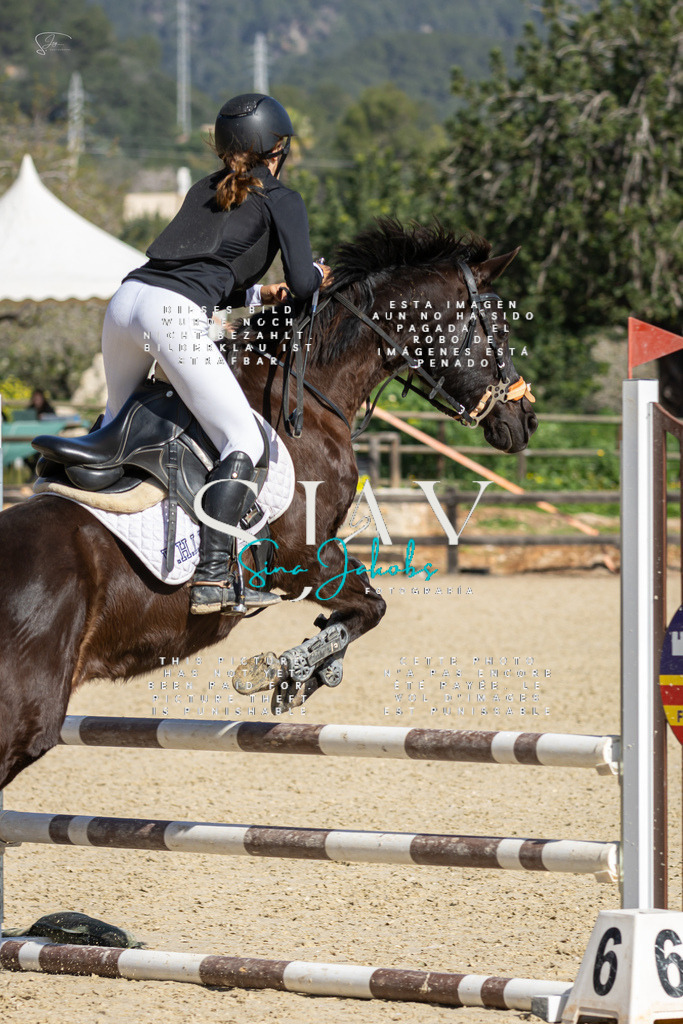 IMG_6246 | s-jay-photography - Realisiert mit Pictrs.com