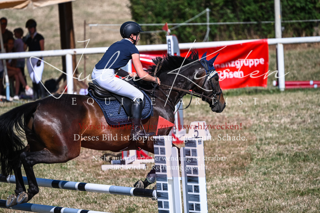 DSC_1841 | Pferde- und Turnierfotografie in Westsachsen. Pferdeportraits, Auftragszeichnungen und intuitive Kunst.