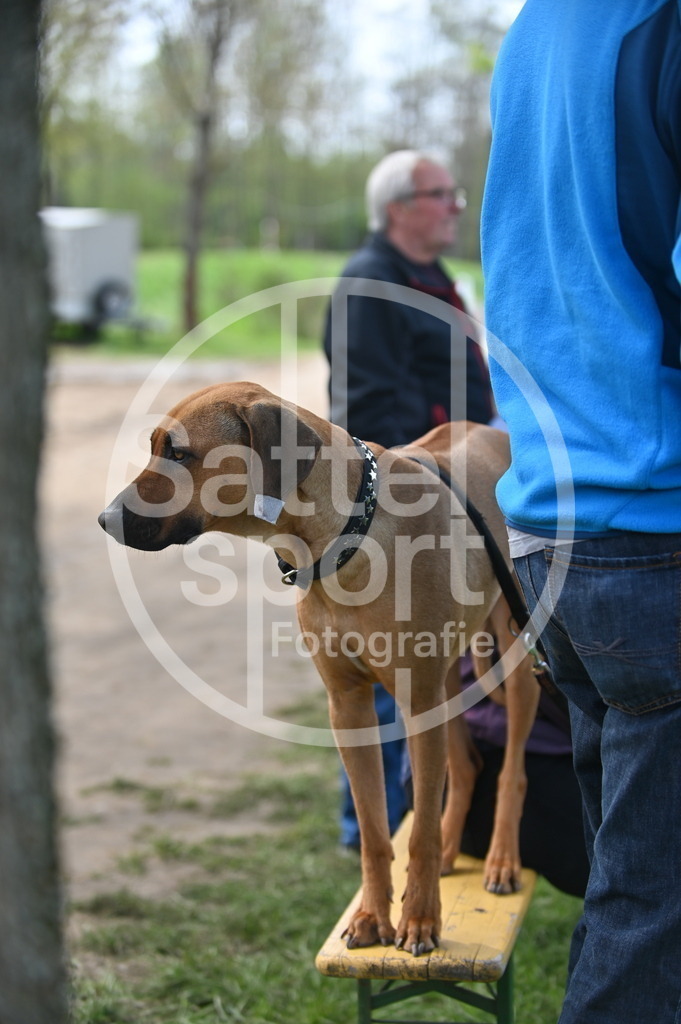 DSC_2495 | sattelsport - Realisiert mit Pictrs.com