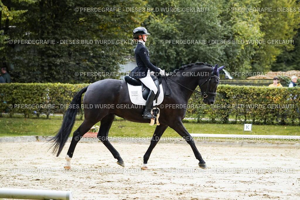 DSC06590 | Pferdegrafie