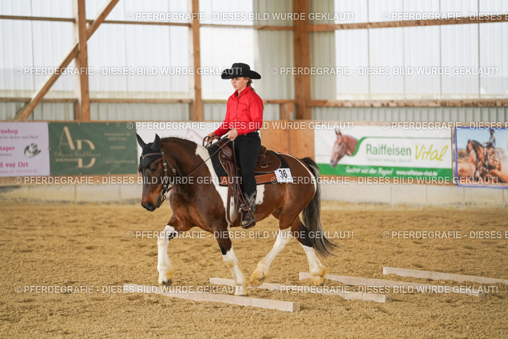 DSC04239 | Pferdegrafie