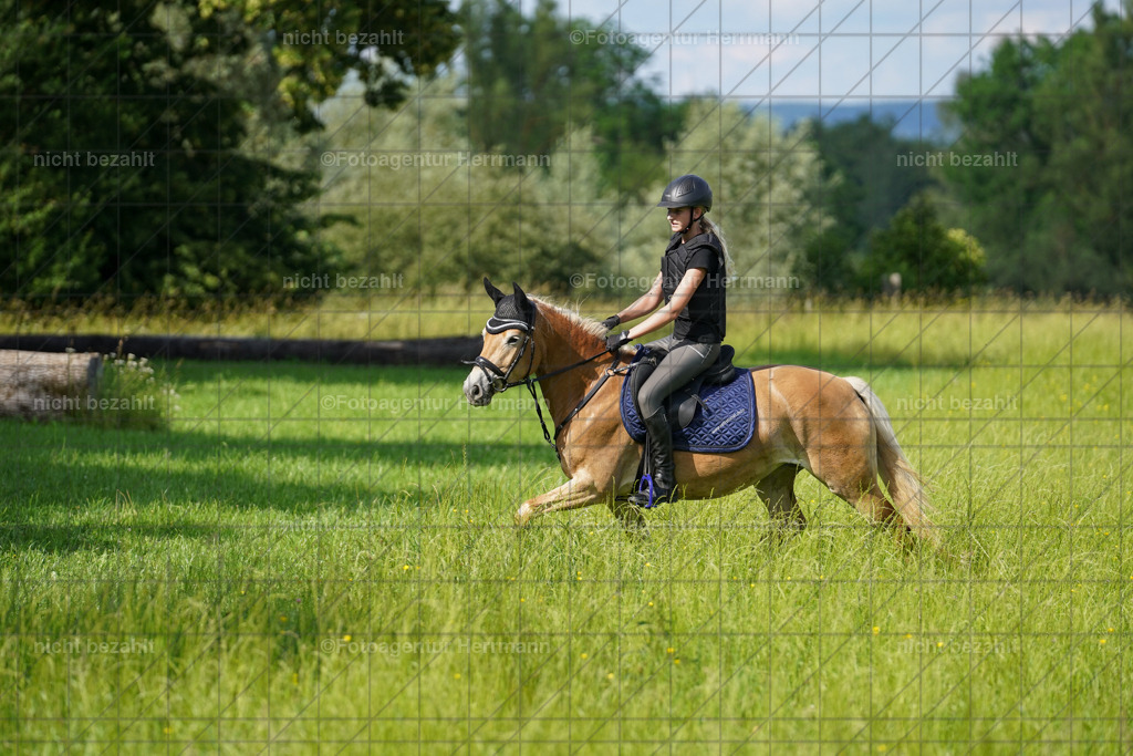 20240622-FAH08097 | Turnierfotografen Bayern, Reitsportbilder aus dem Geländekurs mit Felix Etzel auf dem Gut Waitzacker 2024