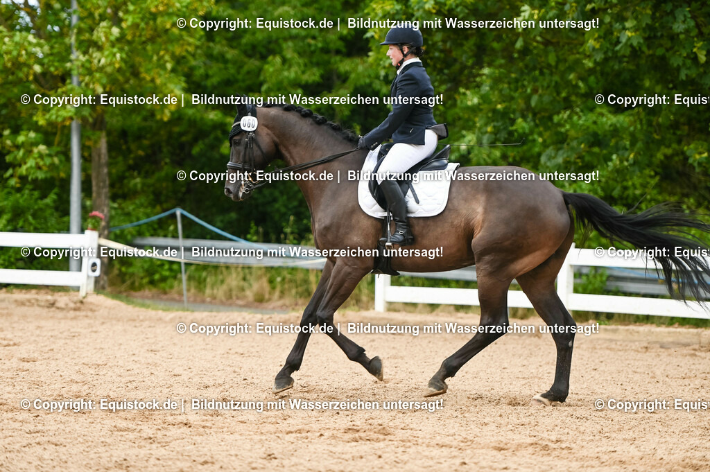 20230716_01_Dressurprüfung Kl.M_0414 | equistock
