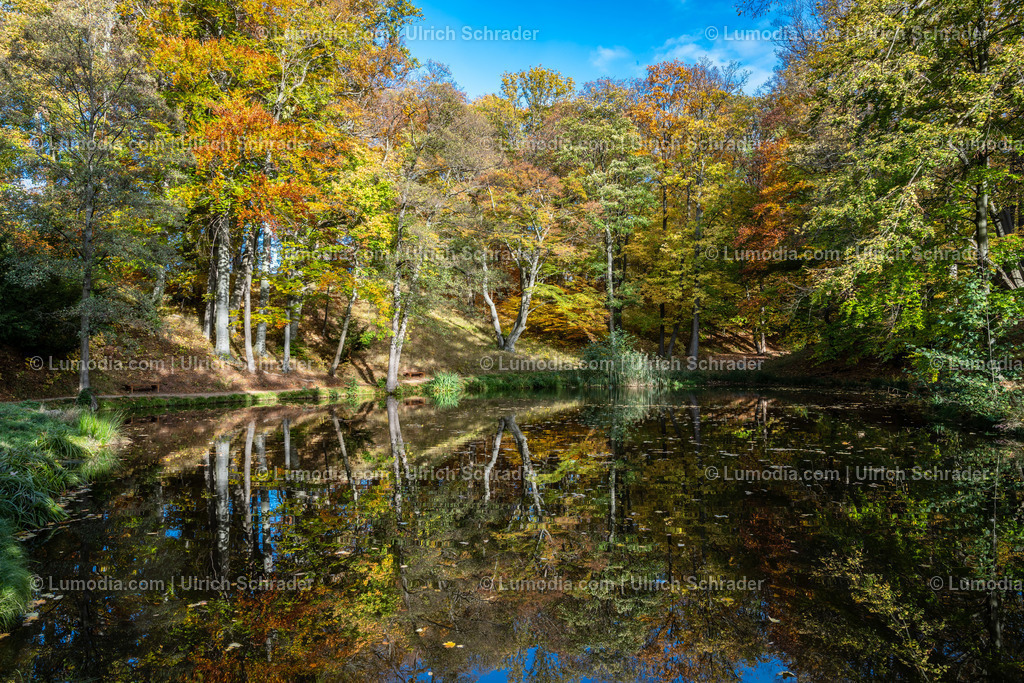 10049-12616 - Schloßpark Ilsenburg im Harz | Stockfoto und Bilderpool mit Bildmaterial aus Deutschland, dem Harz, Halberstadt, Quedlinburg, Wernigerode und weltweit. Qualitativ hochwertige und professionelle Fotos anschauen und kaufen. - Realisiert mit Pictrs.com