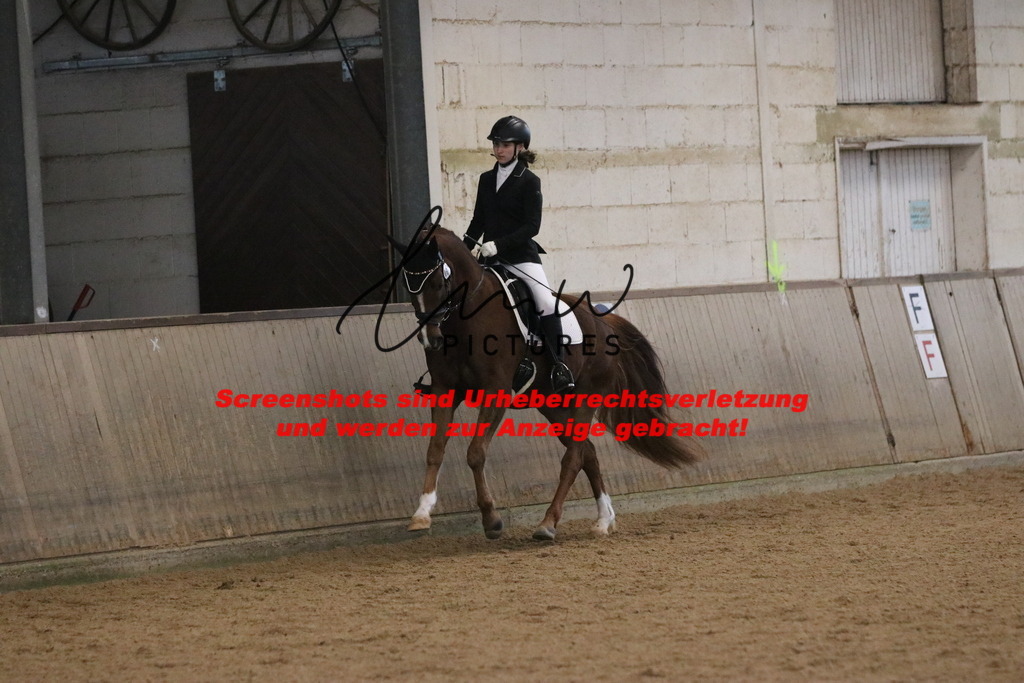 IMG_3619 | lmwpictures - Realisiert mit Pictrs.com