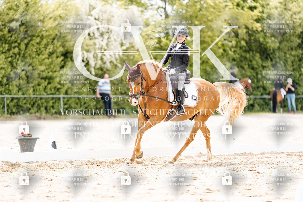 CK902536 | Turnierfotografie Pferdefotografie Trier Rheinland-Pfalz Pferdesport Reitsport Tierfotografie Sportfotografie Pferdevideo Pferdevideografie Equestrianvideography equestrianphotography  - Realisiert mit Pictrs.com