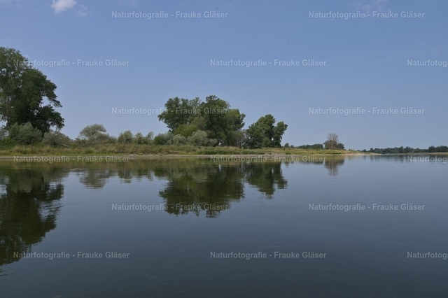 F.Gläser_1113 | Naturfotografie Frauke Gläser - Realisiert mit Pictrs.com