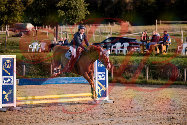 2026_10_03_Siefer-Hof_171253_Z81_10278166 | Professionelle Reitsport-, Turnier- und Eventfotografie von Robert Broda. Galerien mit ausgewählten und bearbeiteten Bildern direkt online ansehen und bestellen.