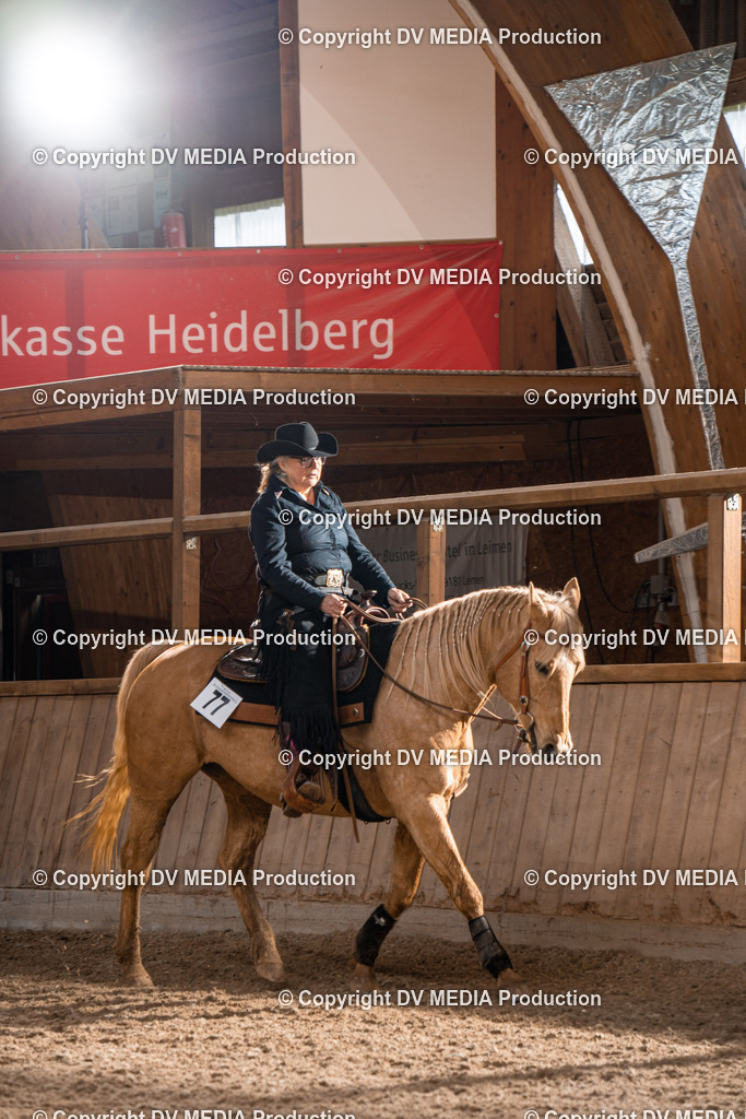 Heidelberg Tag 1-196 | dv-media-shop - Realisiert mit Pictrs.com