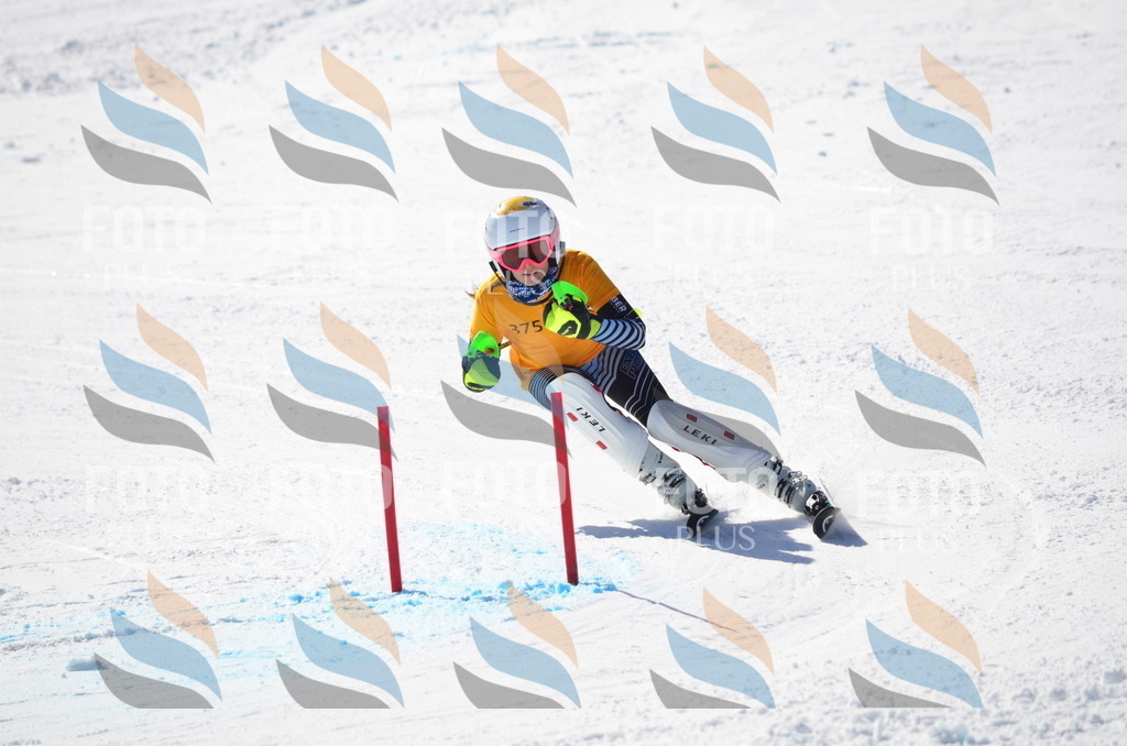 C9610 | holidayphoto