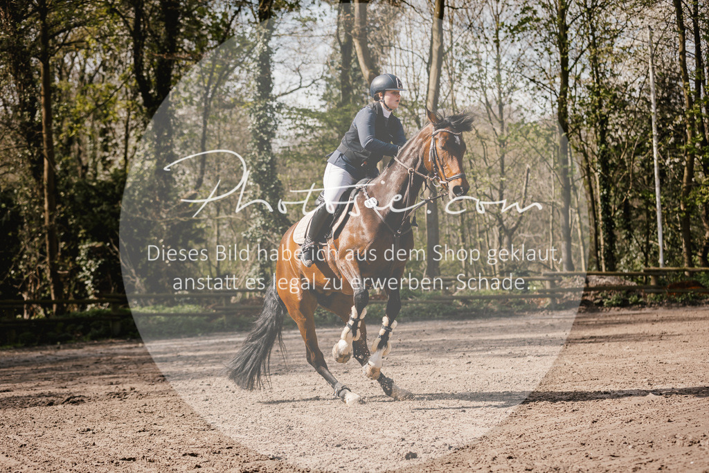 3I6A4117 | Stimmungsvolle Portraits und Reitsportfotografie im Ruhrgebiet und im Münsterland.

Pferdefotografie, Hundefotografie, Tierfotografie, Reportagen, Portraits von Tier und Mensch, Turnierfotografie in Bochum, Recklinghausen, Marl, Haltern am See, Dülmen.. - Realisiert mit Pictrs.com