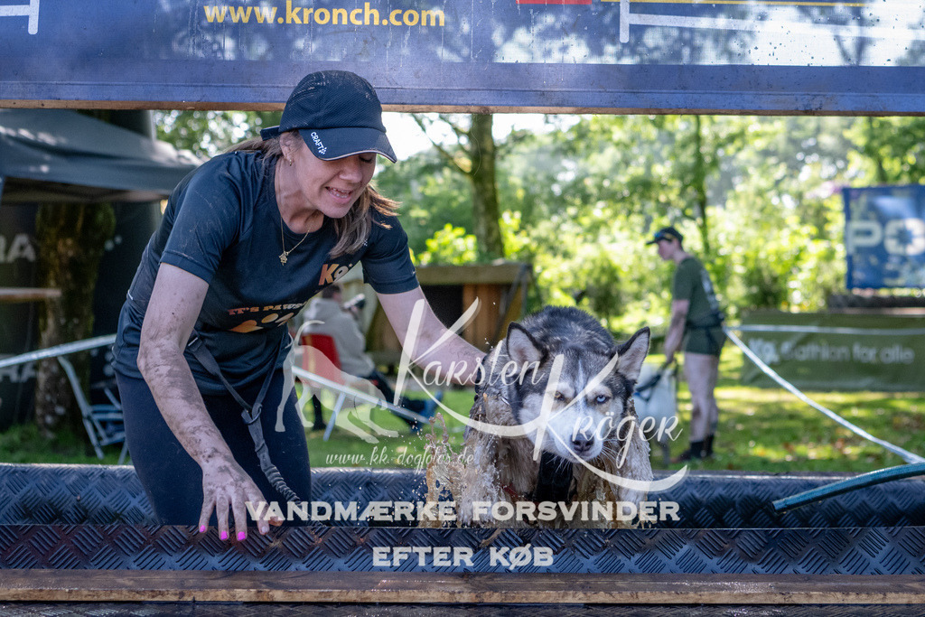 1536_ZZ91941 | kk-dogfotos