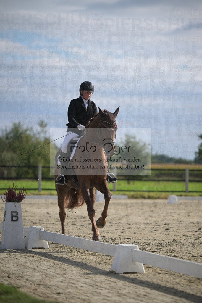 DOS_2661 | Entdecke hochwertige Reitturnierfotos von Foto Oger. Professionell, emotional und authentisch – jetzt Lieblingsmomente im Shop bestellen.Deutschlandweite Turnierfotografie. - Realisiert mit Pictrs.com