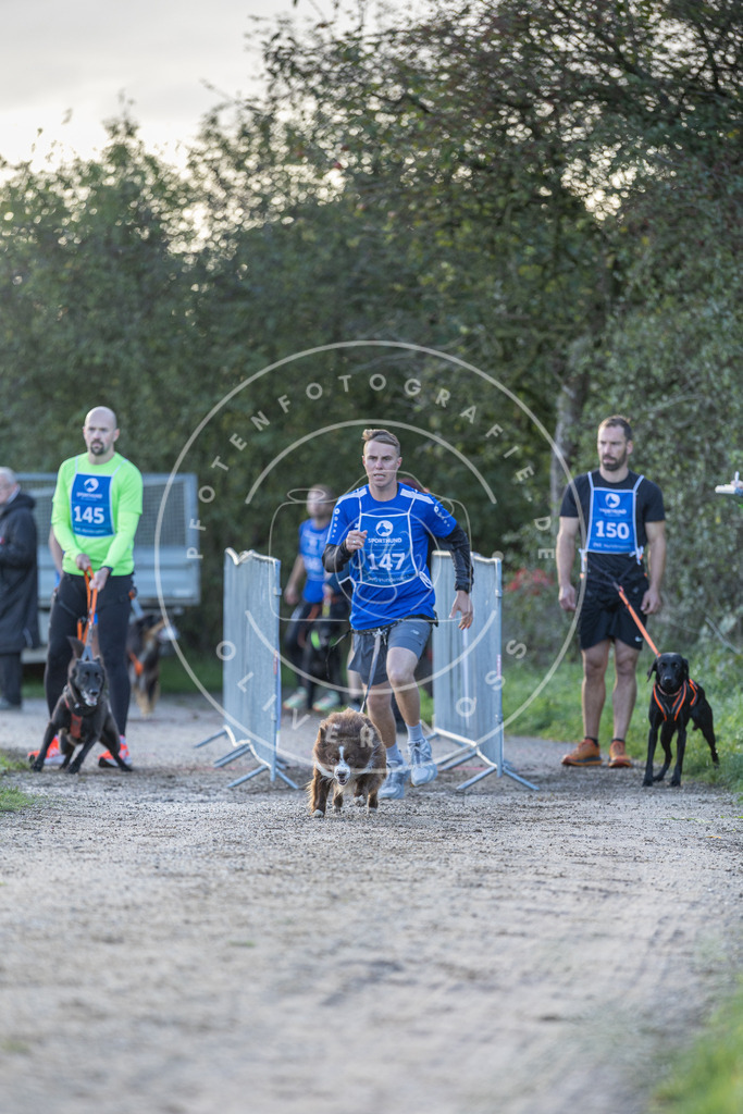 Pfotenfotografie.de_DV3A2760 | Hundefotografie, Tierfotograf, Pfotenfotografie, Fotoshooting Hund, Hunde Portrait, Hundesport, Hundeportraits, Heideshooting, Hunde, Sportfotograf, Hundefotograf, Turnierhundsport, THS, canicross - Realisiert mit Pictrs.com